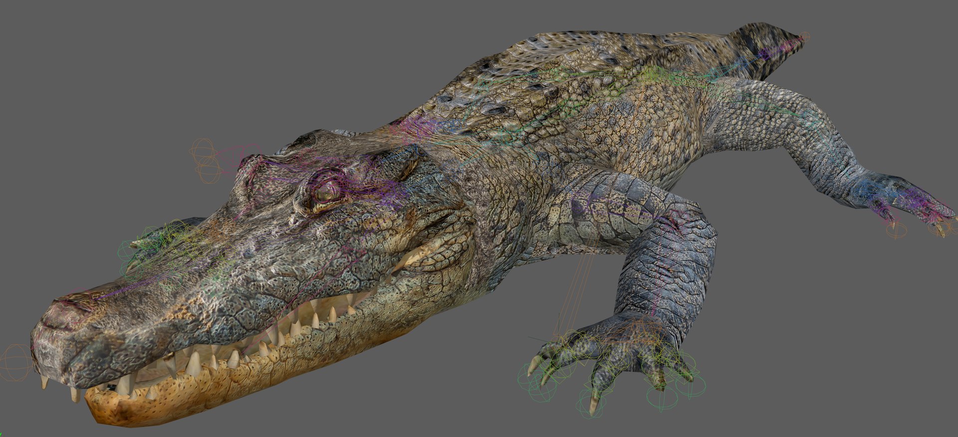 Crocodile Rig 3D - TurboSquid 2107289