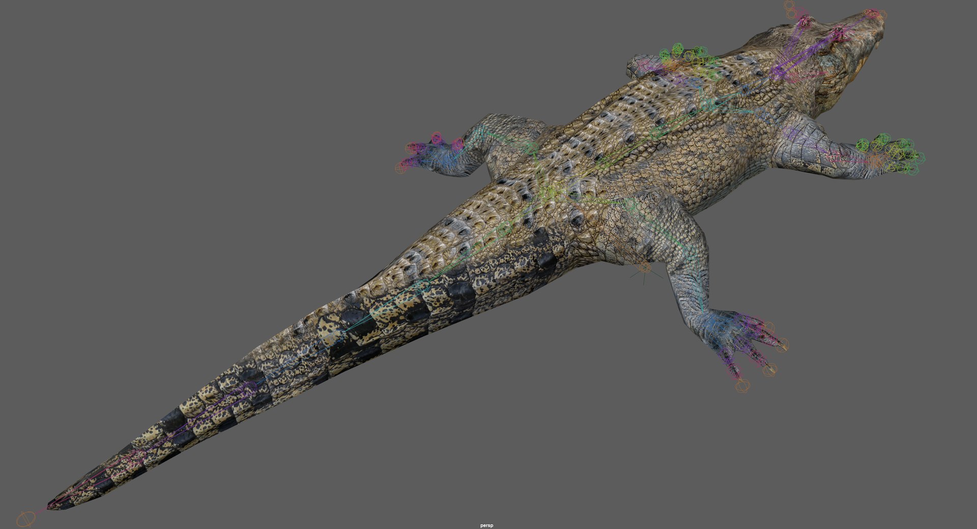 Crocodile Rig 3D - TurboSquid 2107289