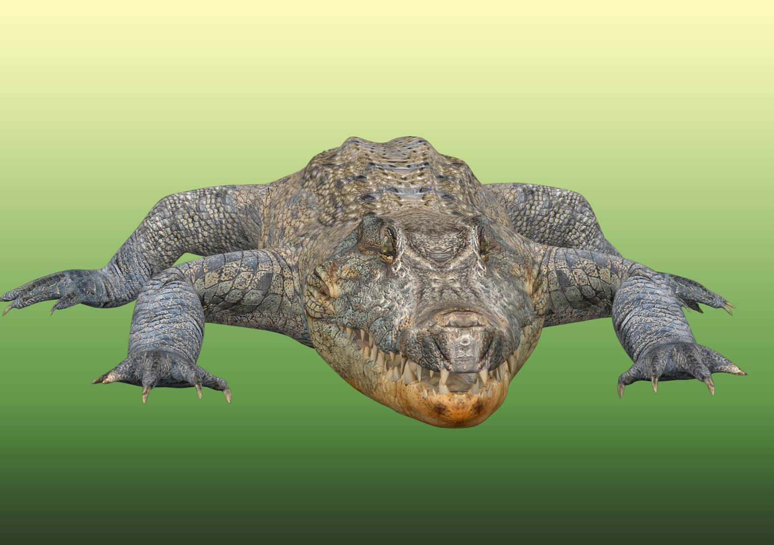 Crocodile Rig 3D - TurboSquid 2107289