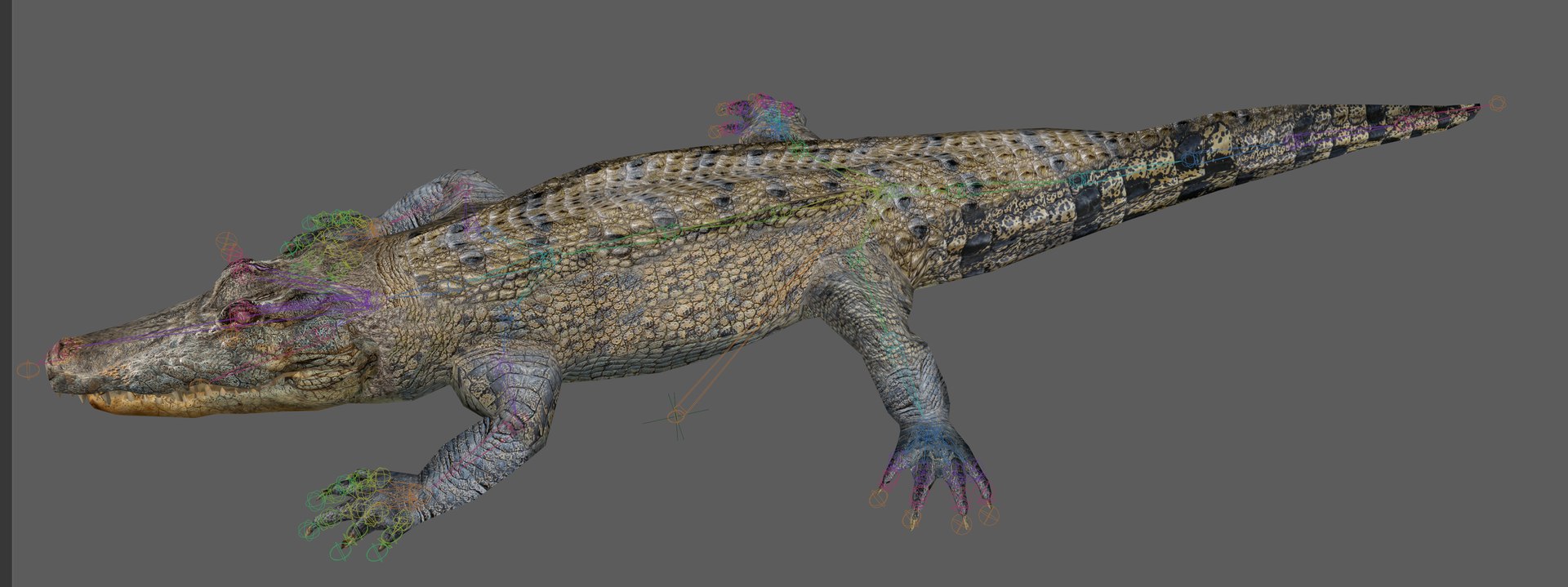 Crocodile Rig 3D - TurboSquid 2107289