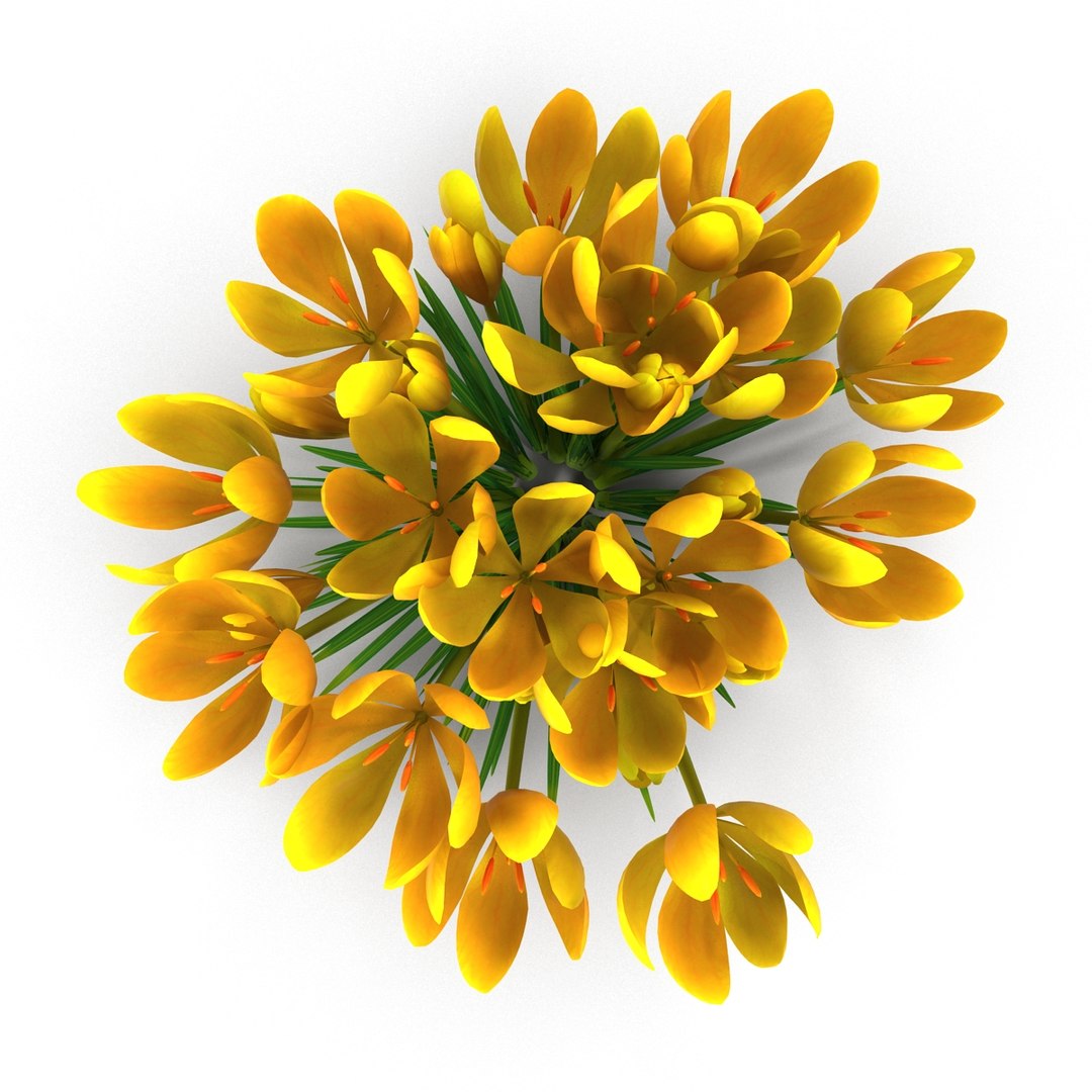 crocus 3d model https://p.turbosquid.com/ts-thumb/8V/0fRVTx/f8D7mHRm/3/jpg/1490030221/1920x1080/fit_q87/d01bd10ec1a7e3518783e5a4caee4a3f28d690c4/3.jpg