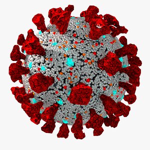 3D covid-19 corona virus model