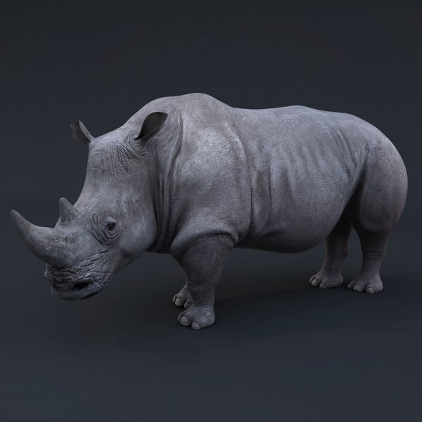 3d realistic rhino rig