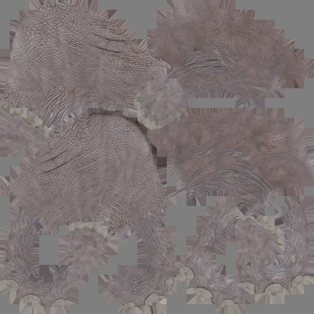 3d Realistic Rhino Rig