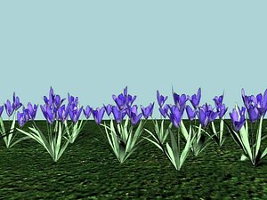 Low Poly Flower 01