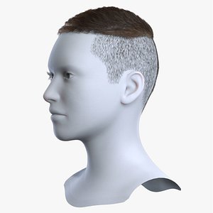 Men Textured Caesar Crop Brown Hair with High Fade 3D Asset 3D model