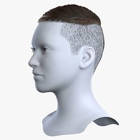 Men Textured Caesar Crop Brown Hair with High Fade 3D Asset