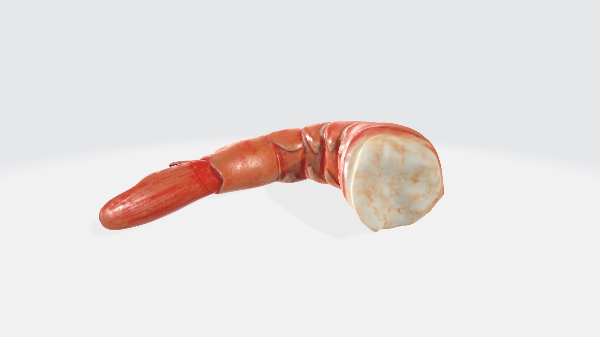 Shrimp 3D Model - TurboSquid 2347304