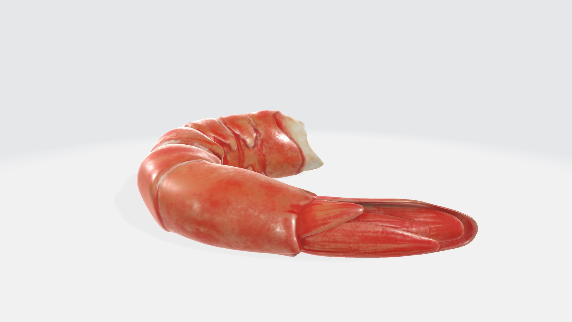 Shrimp 3D Model - TurboSquid 2347304