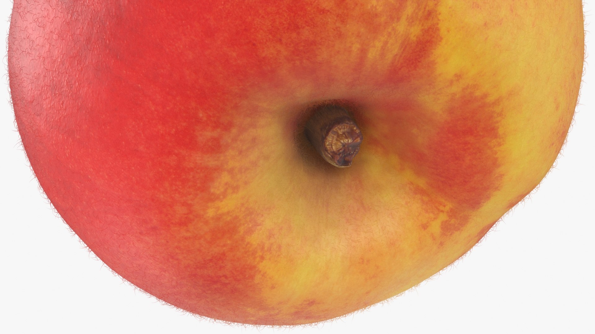 Peach 02 Color 2 3D Model - TurboSquid 2275853