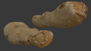 3D Ginger Root 3D Model model