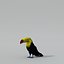 Toucan