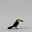 Toucan