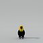 Toucan