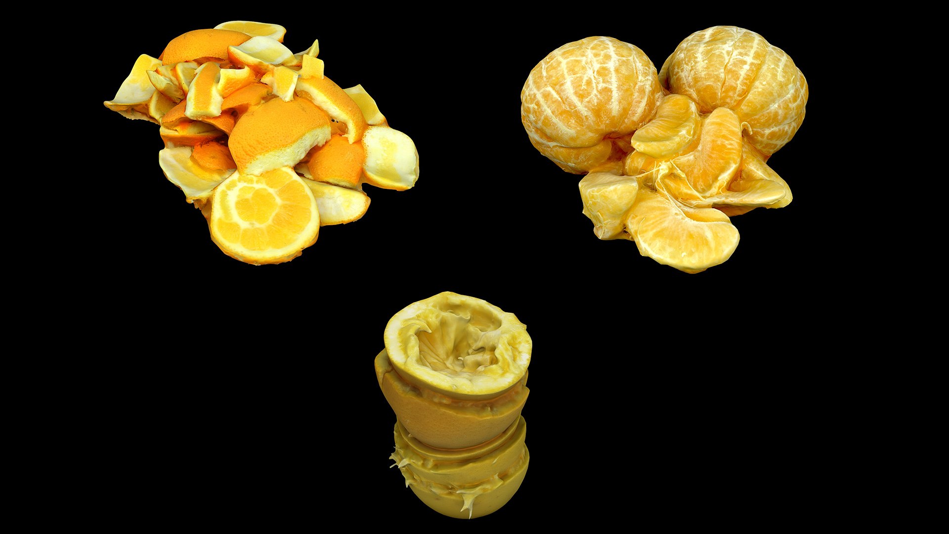 Orange Pells Collection 01 model https://p.turbosquid.com/ts-thumb/8V/Oom3Gf/bL/collection01/jpg/1724050469/1920x1080/fit_q87/b862792acdb8e5b731d157b1a16298d760479821/collection01.jpg
