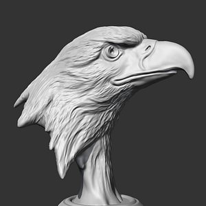 Bald Eagle Head AM07 3D print model 3D model