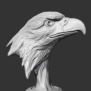 Bald Eagle Head AM07 3D print model