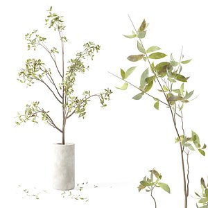 3D Plants Bouquet 04 model