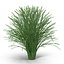 Collection de plantes 3