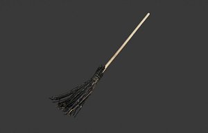 Classic Broom