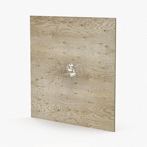 Splintered Bullet Hole Through Plywood