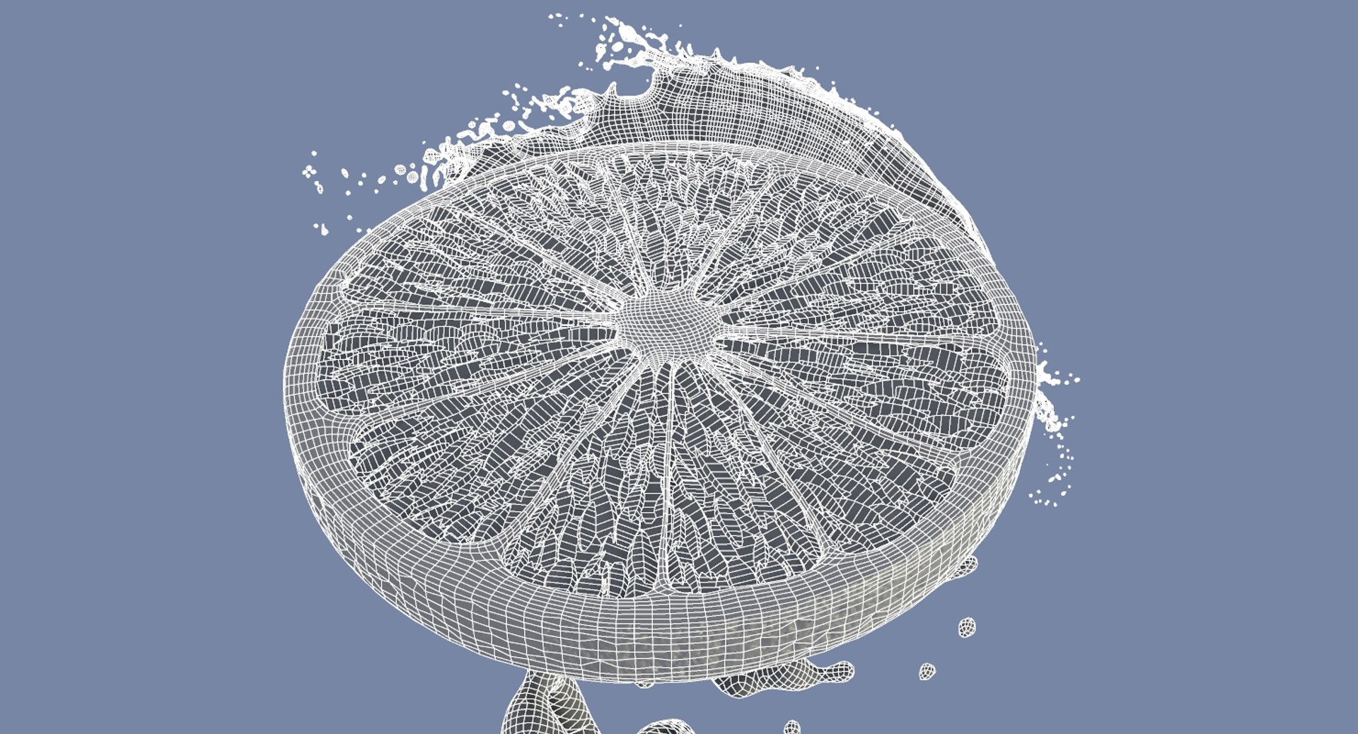 lemon slice water splash 3D model https://p.turbosquid.com/ts-thumb/8W/TqFgVG/nqGvqVik/lemon_wire_03/jpg/1516053653/1920x1080/fit_q87/af4dc107dd5d3ce4f4d6fac3f0958cbf9a2b2bd8/lemon_wire_03.jpg
