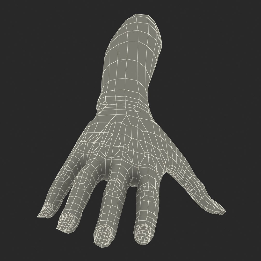 Female Hand 3 3d Max