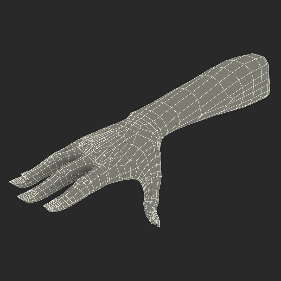 Female Hand 3 3d Max