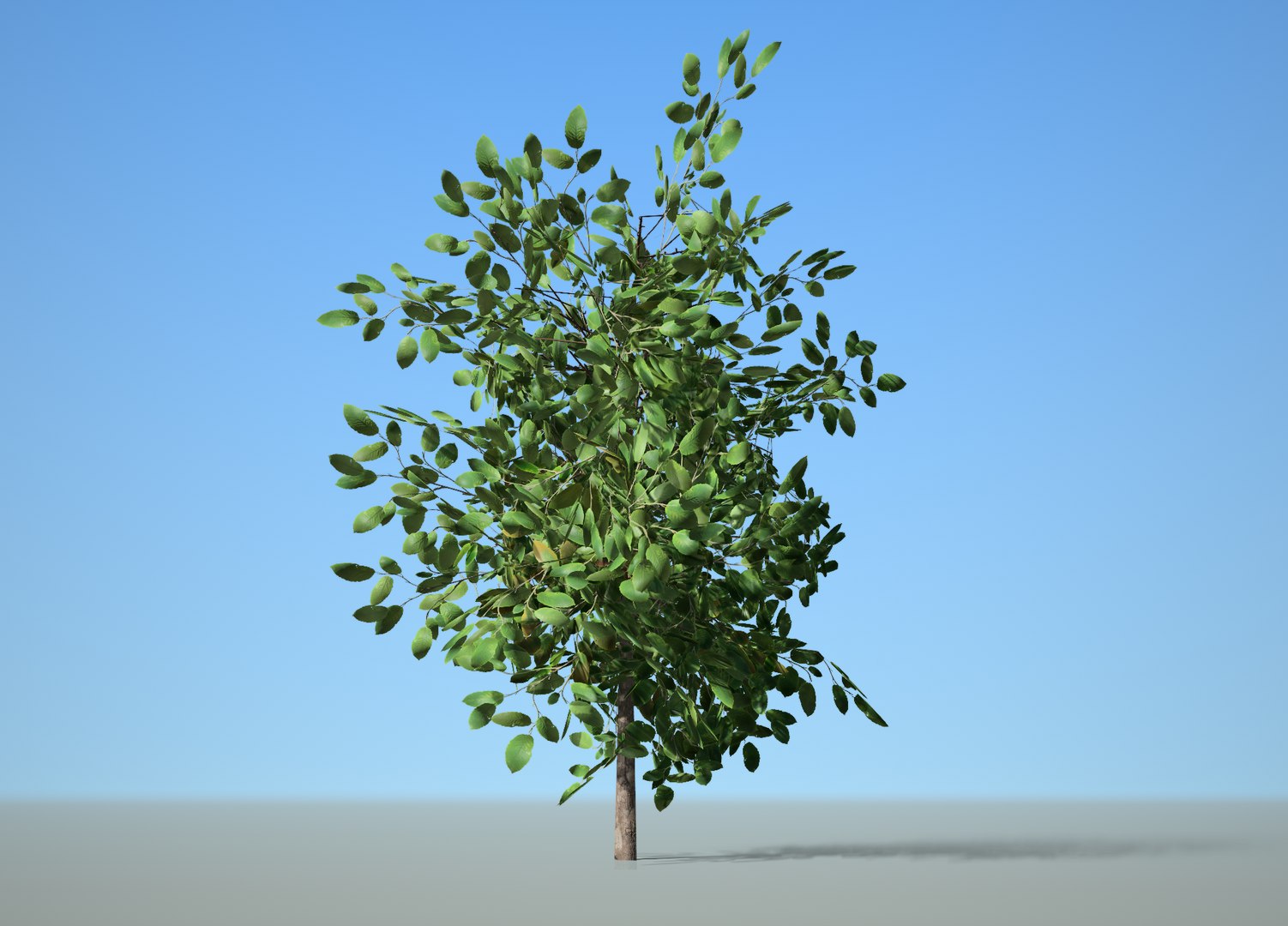 3D Nature Environment Asset Pack Vol 2 - TurboSquid 1725682