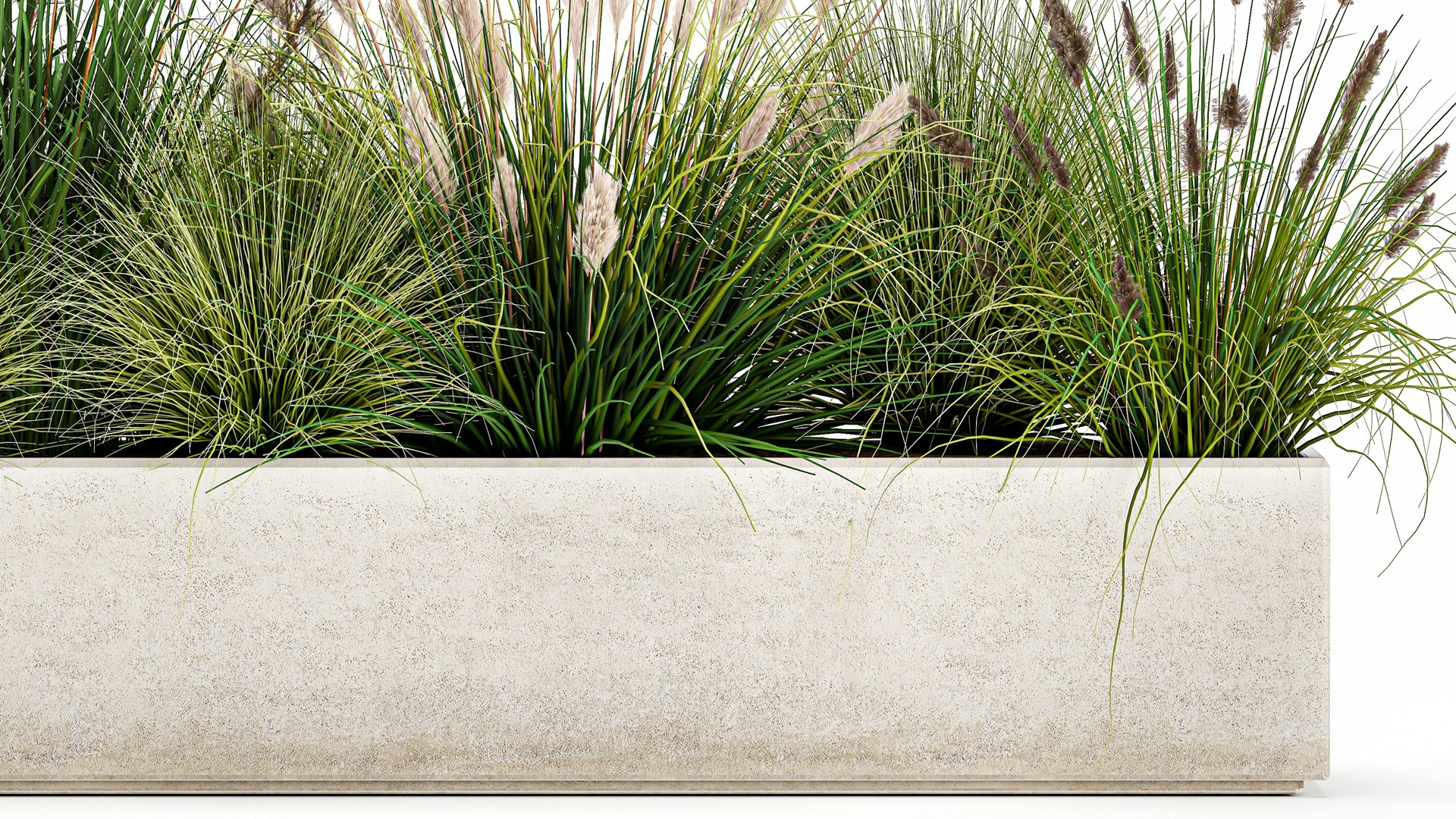 3D Potted Reeds For Landscaping 1076 Model - TurboSquid 1817174