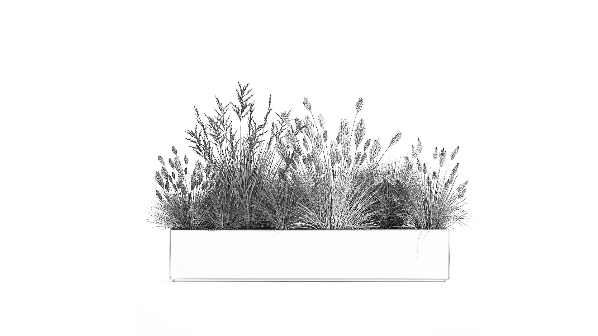 3D Potted Reeds For Landscaping 1076 Model - TurboSquid 1817174