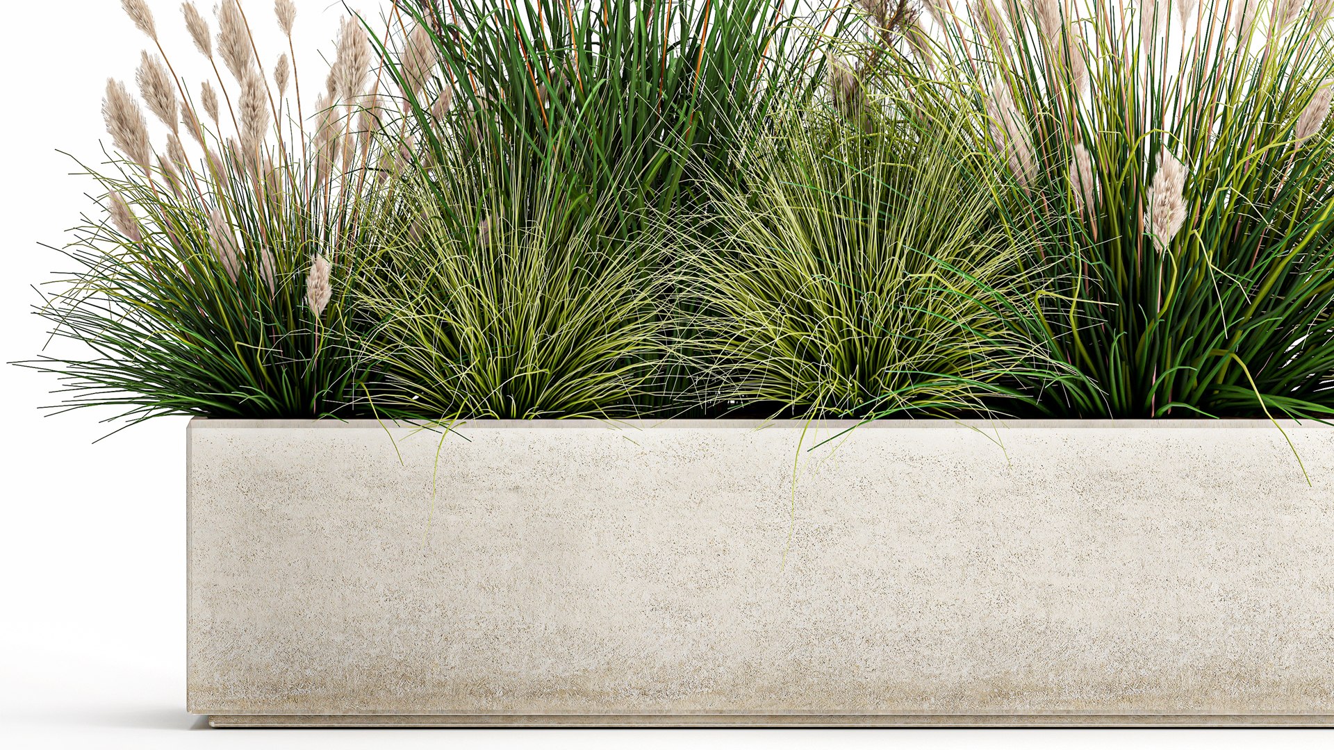 3D Potted Reeds For Landscaping 1076 Model - TurboSquid 1817174