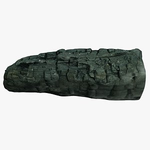3D charred log model