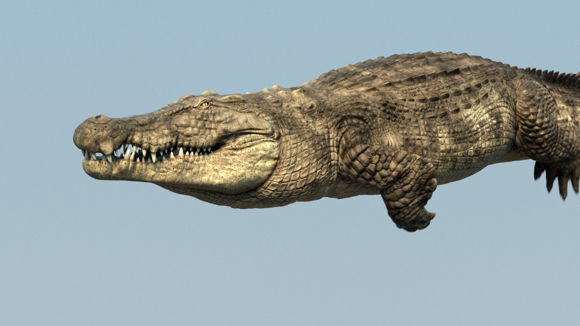 Crocodile Rig 3D Model - TurboSquid 1182048