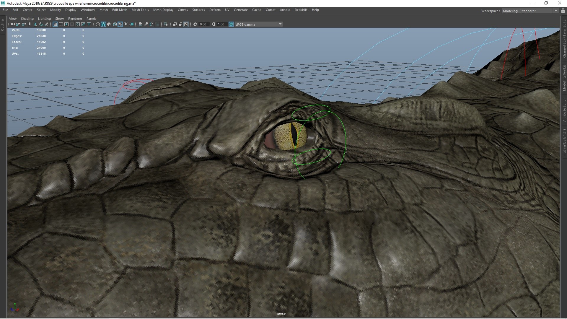 Crocodile Rig 3D Model - TurboSquid 1182048