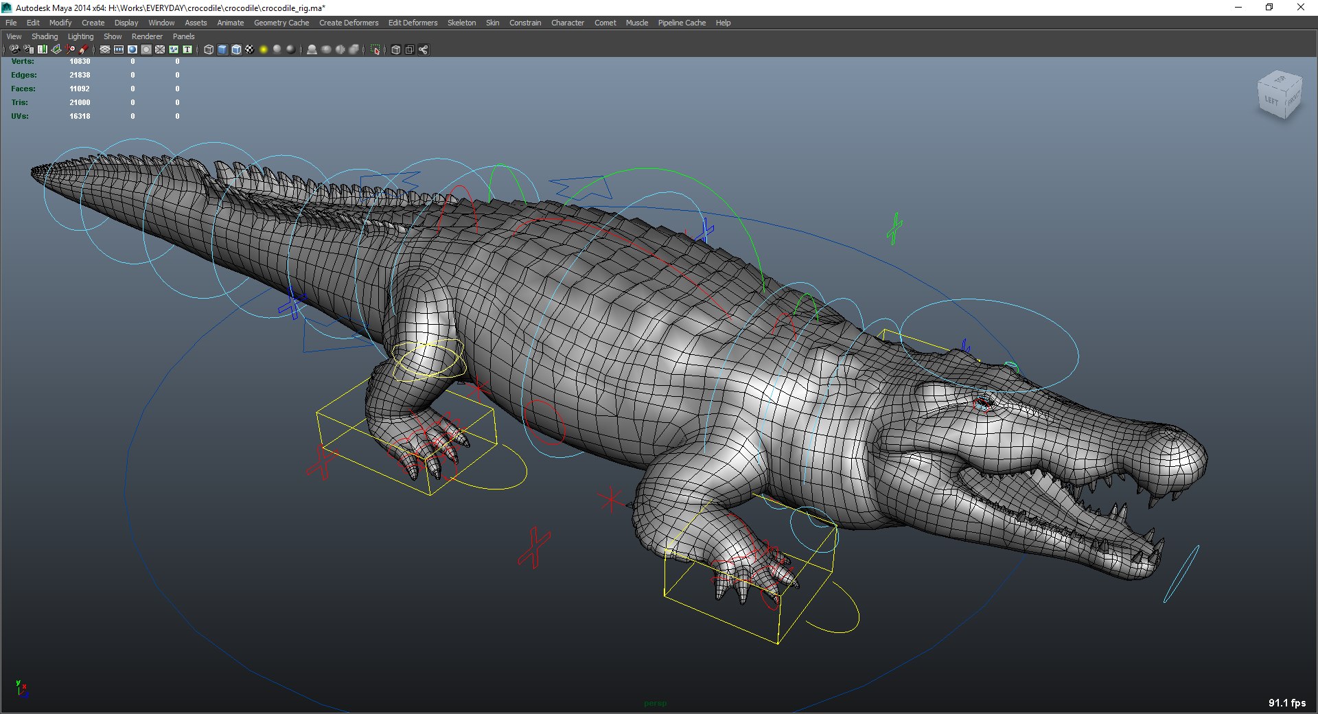 Crocodile Rig 3D Model - TurboSquid 1182048