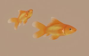 3D model goldfish fish