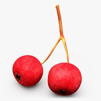 Two Hawthorn Berries