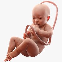Baby Boy at 38 Weeks