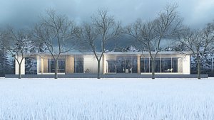 Mies Van der Rohe - Modern House 3D