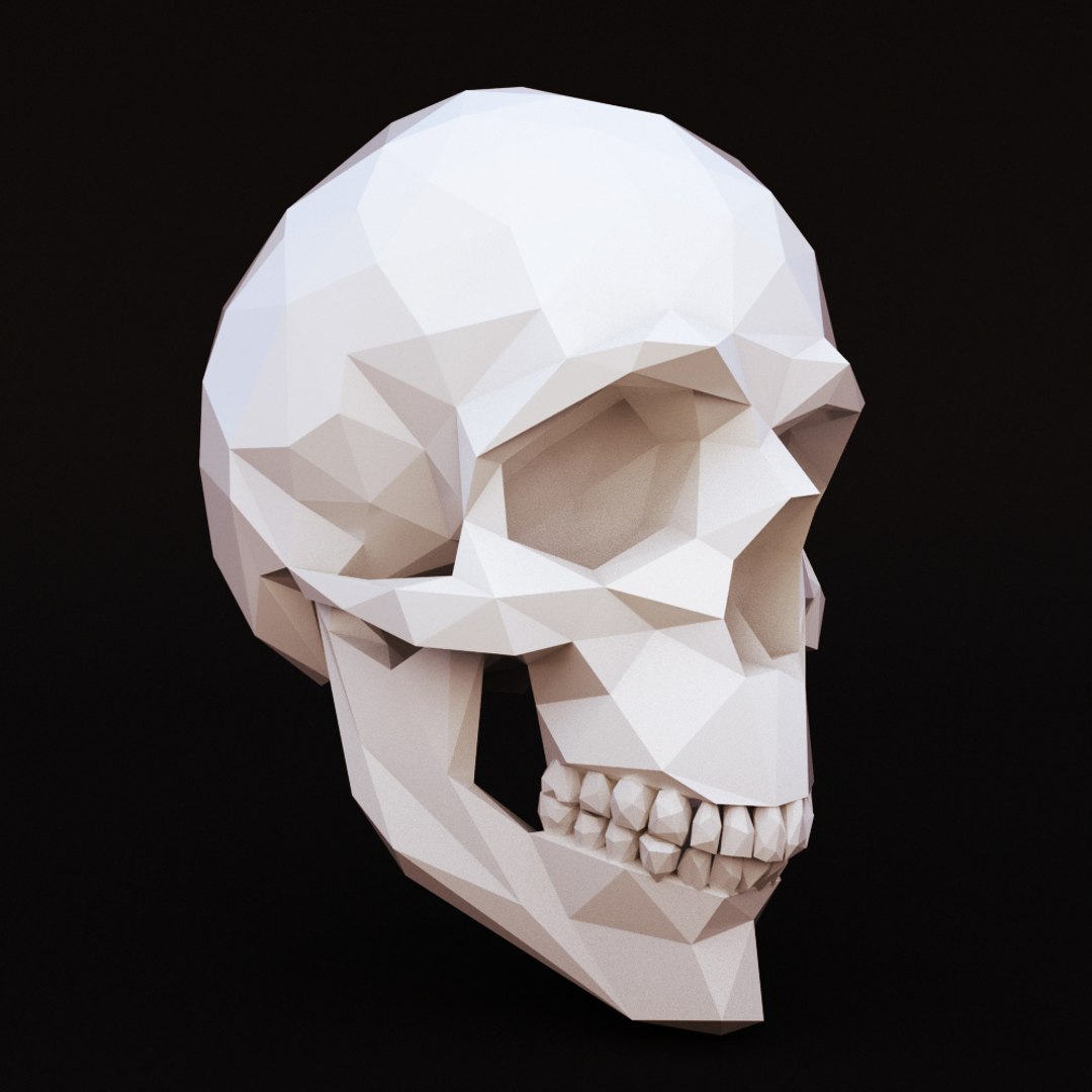 Human Skull 3D Model - TurboSquid 1230642