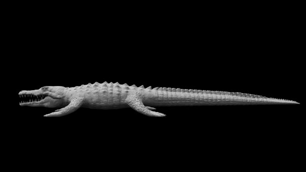 crocodile 3d model 3D model