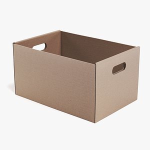 carrier box 3D