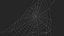 Triangular Shaped Spider Web