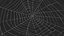 Triangular Shaped Spider Web