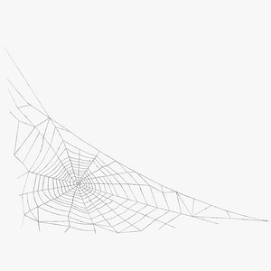 3D Triangular Shaped Spider Web