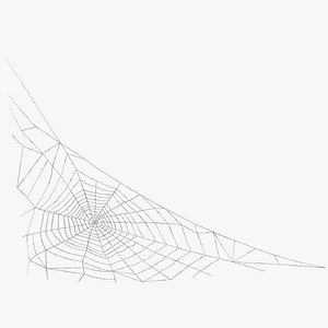 Triangular Shaped Spider Web