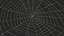Triangular Shaped Spider Web