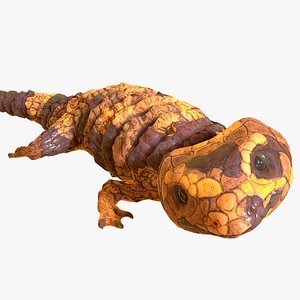 lizard reptile nature 3D model