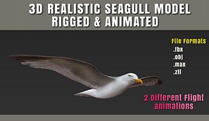 3d seagull animation fully rigged